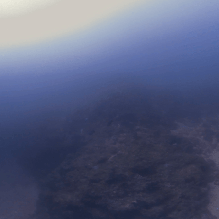 Shark Pup's Reef Patrol