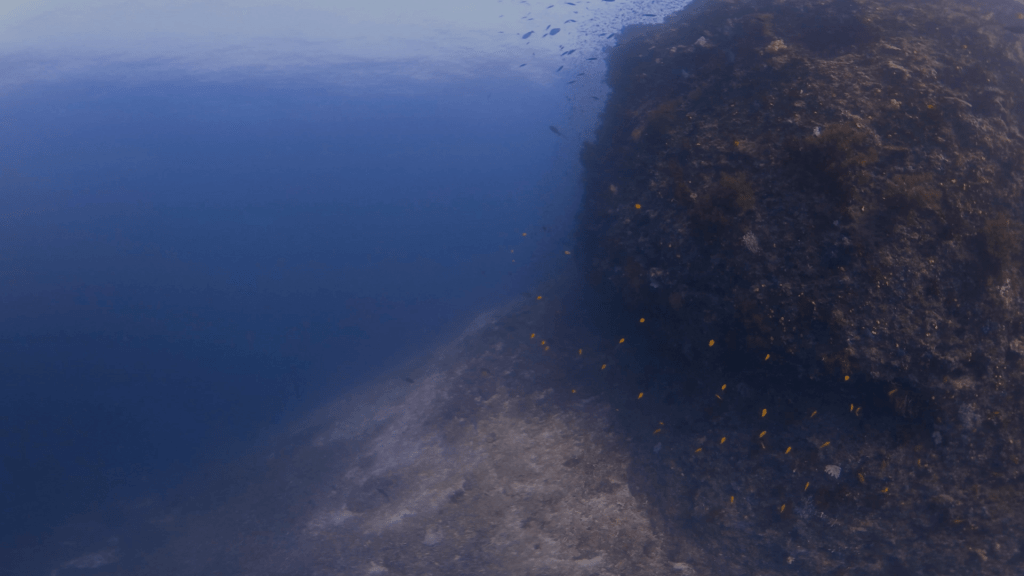 Pinnacle Reef Wall Panorama