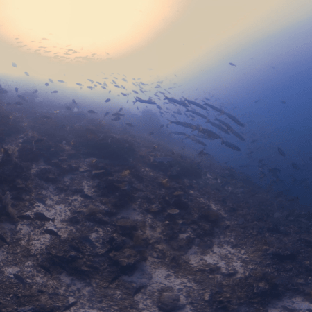 Reef Slope Spectacle: Jacks, Barracuda, Corals