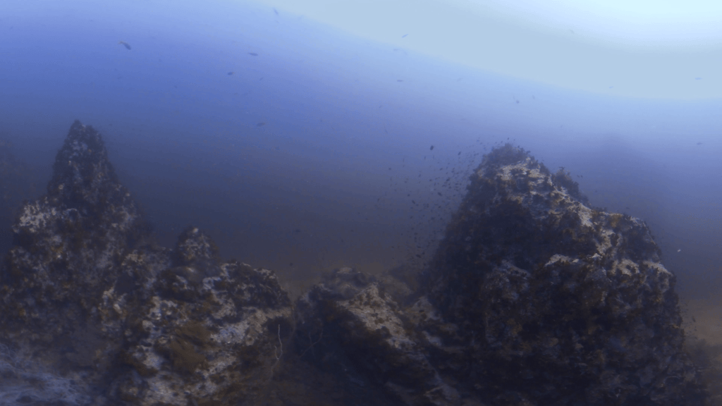 Pinnacle Life at 30 Meters