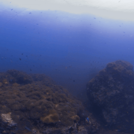 Anemone Pinnacle Panorama