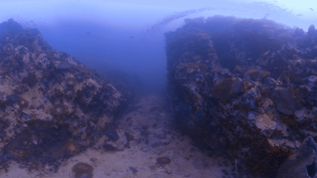 Reef Canyon Passage