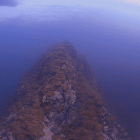 Anemone Ridge Ascent