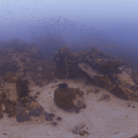 Sandy Bottom Reef Haven