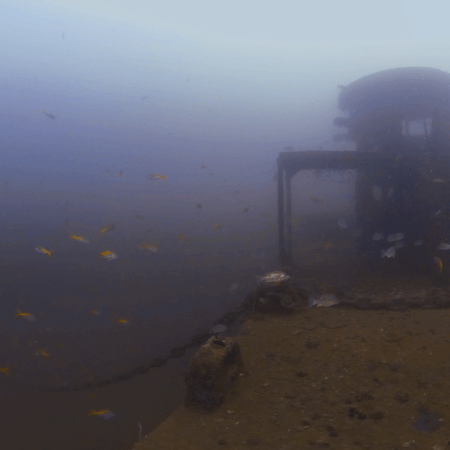 Wreck Deck Snapper Haven