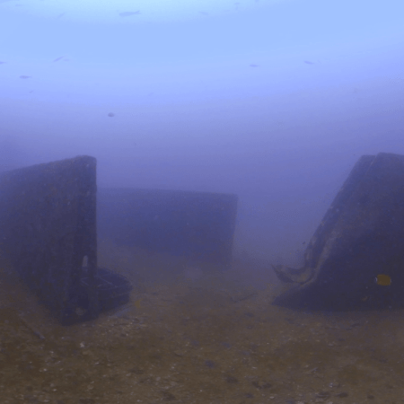 WWII Wreck Deck: Fish Haven