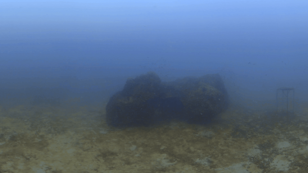 Mazu's Reef: Goddess of the Sea