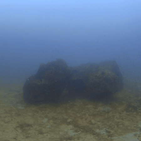 Mazu: Goddess of the Sea Reef