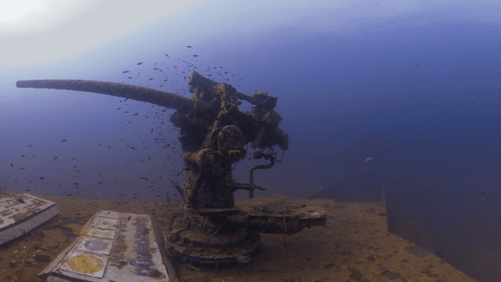 Sunken Relic: WWII Gun on Shipwreck