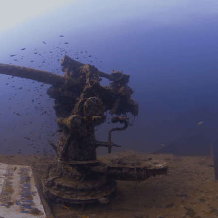 Sunken Relic: WWII Gun on Shipwreck