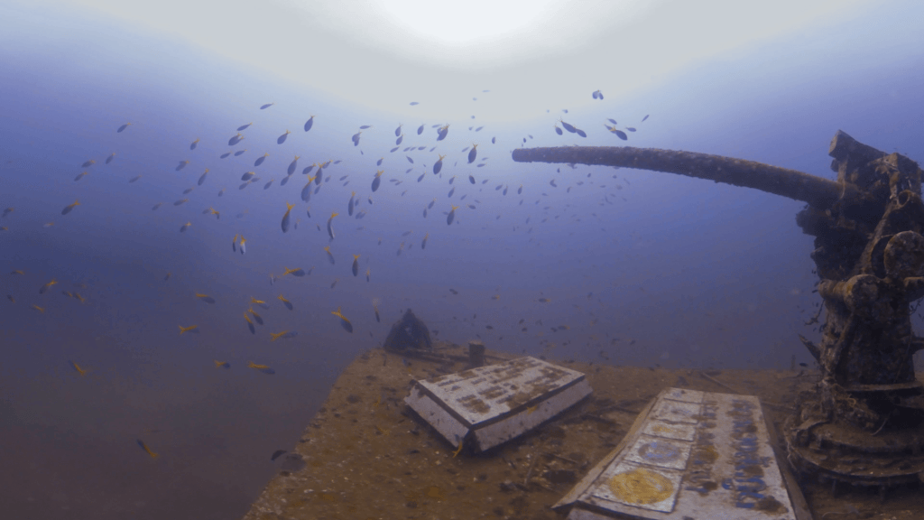 WWII Gun Mount: Sunken Relic