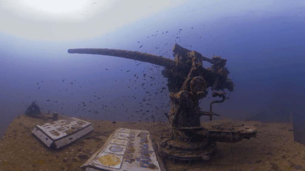 WWII Gun: Living Reef Monument