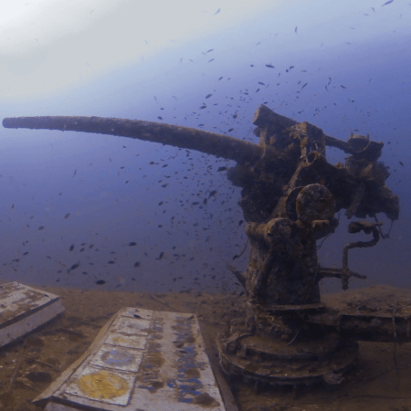 WWII Gun Mount: Thriving Reef