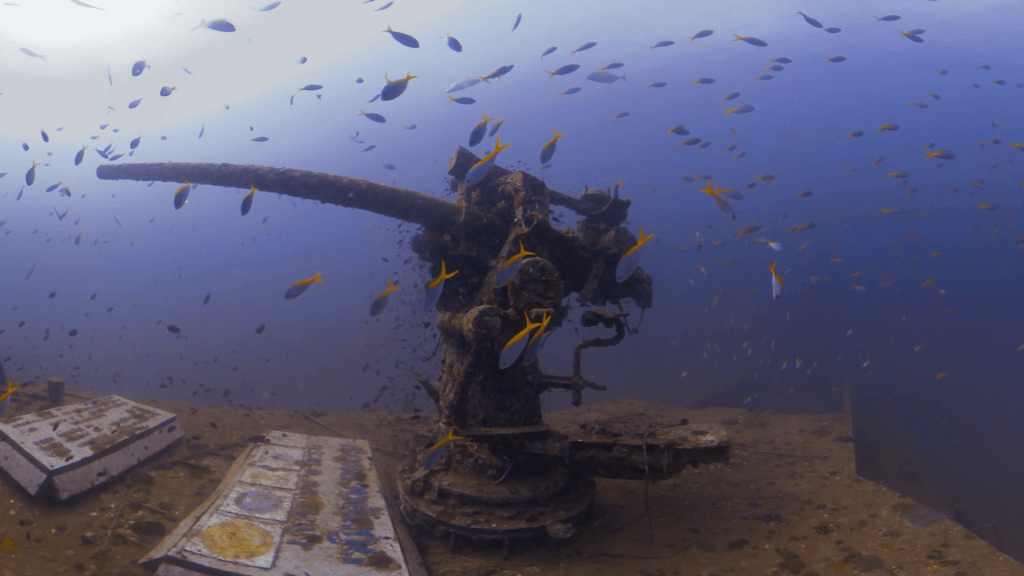 WWII Wreck Gun: Snapper Swarm