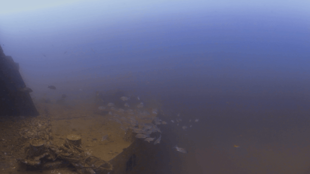WWII Wreck: Ghosts of the Deep