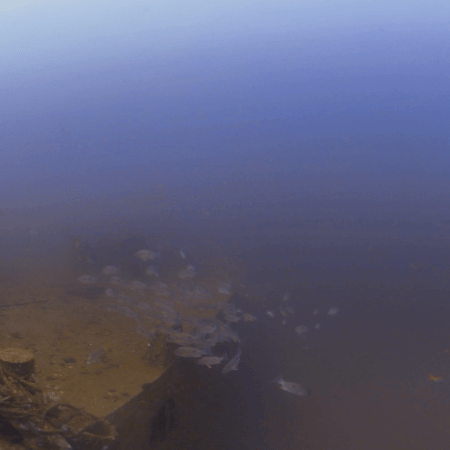 WWII Wreck: Ghosts of the Deep