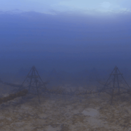 Pyramid Reefs: Coral Growth Habitat
