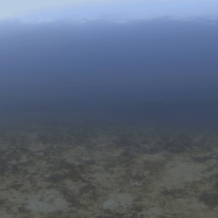 Ship Reef: Coral & Damselfish Haven