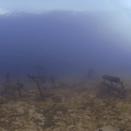 Underwater Gym: Artificial Reef Fitness