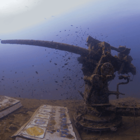 WWII Gun Mount: Fish Haven