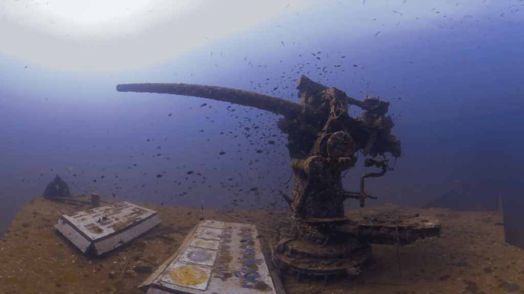 WWII Gun Mount Reef