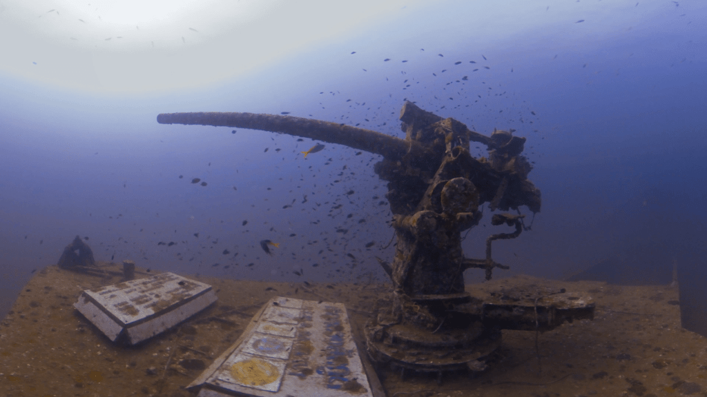WWII Gun: Reef Fish Haven