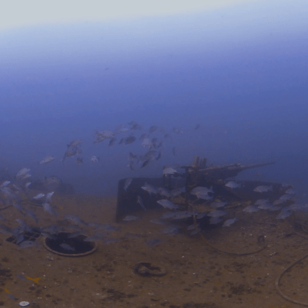 WWII Wreck Gun: Snapper Swarm