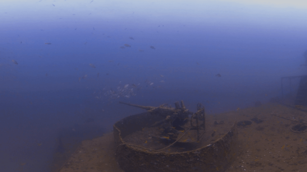 WWII Wreck: Gun & Spot Snappers