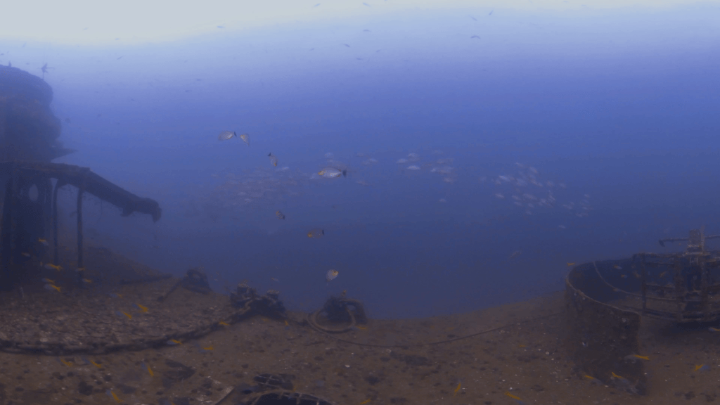 Wreck's Stern: Rabbitfish Haven