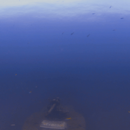 WWII Wreck Bow: Echoes of the Deep