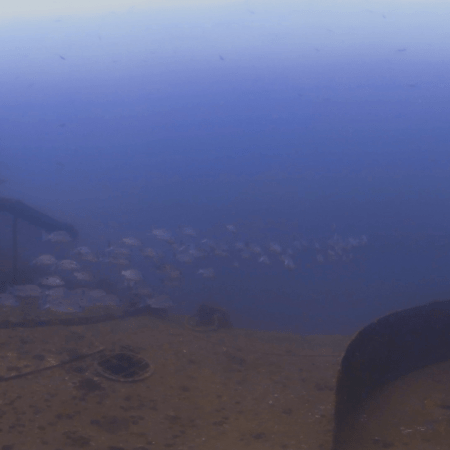 WWII Wreck Deck: Snapper Swarm