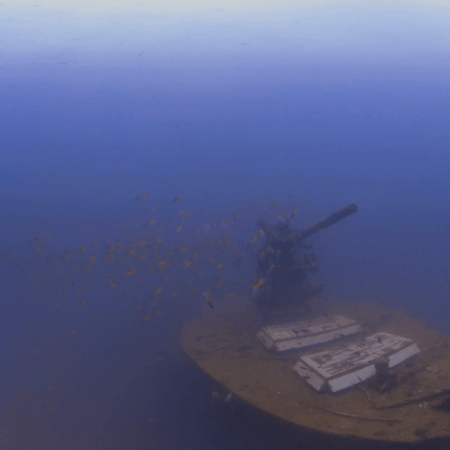 WWII Gun Mount: A Living Reef