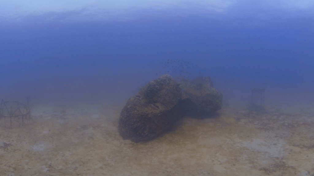 Mazu's Reef: Submerged Goddess