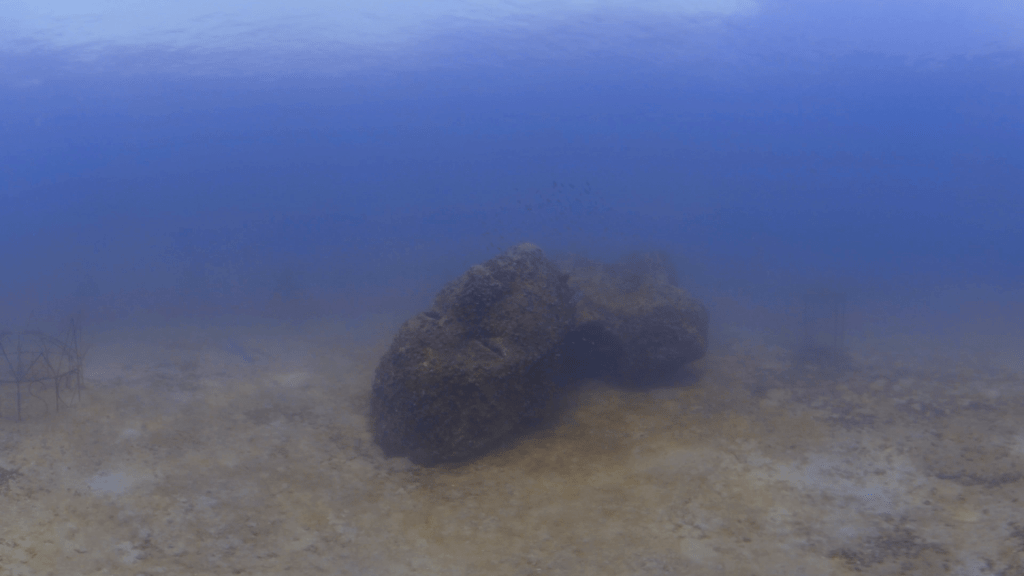 Mazu: Goddess of the Sea Reef