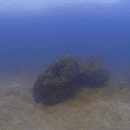 Mazu: Goddess of the Sea Reef