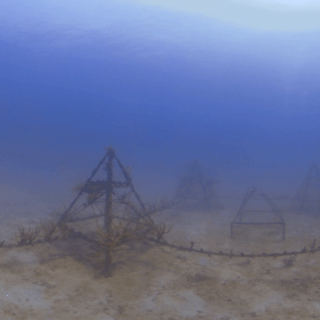 Coral Pyramids: Reef Restoration Project