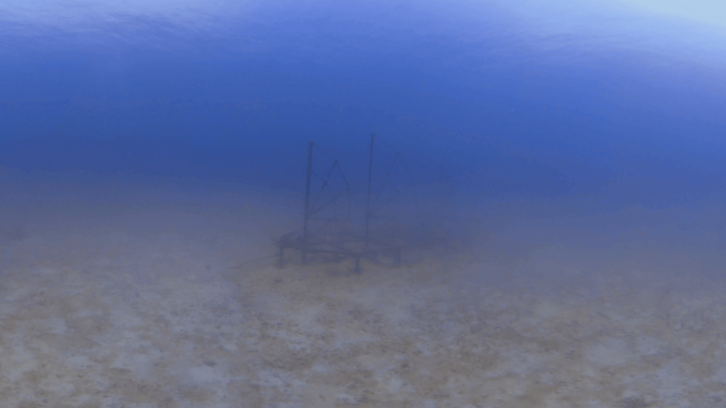 Sailing Ship Reef: A Submerged Eiffel Dream