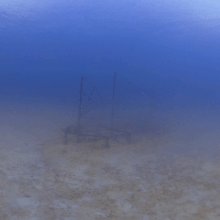 Sailing Ship Reef: A Submerged Eiffel Dream