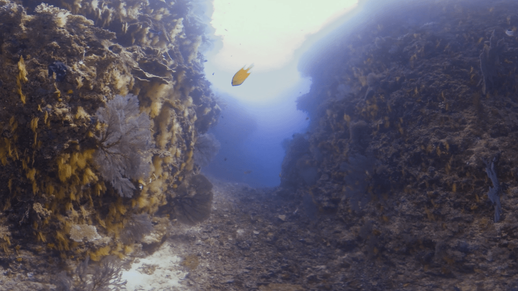 Coral Canyon Passage
