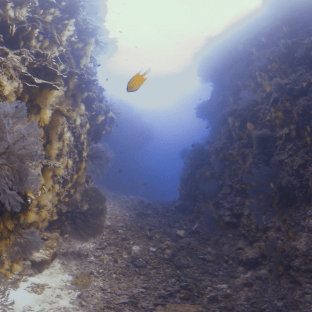 Coral Canyon Passage