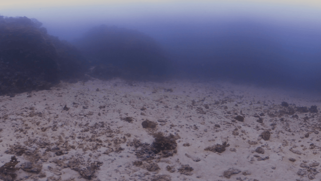 Sandy Seascape: A Submerged Vista