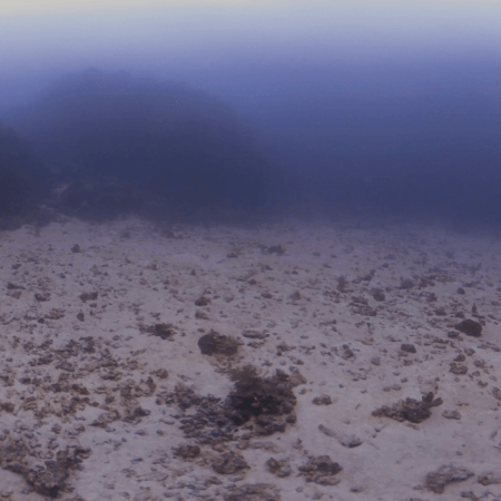 Sandy Seascape: A Submerged Vista