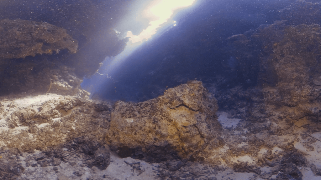 The Cathedral's Sunlit Crevices
