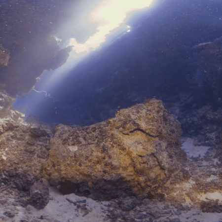 The Cathedral's Sunlit Crevices