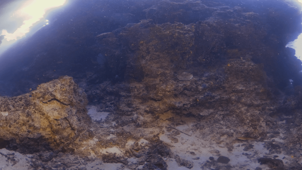 The Cathedral's Crevices