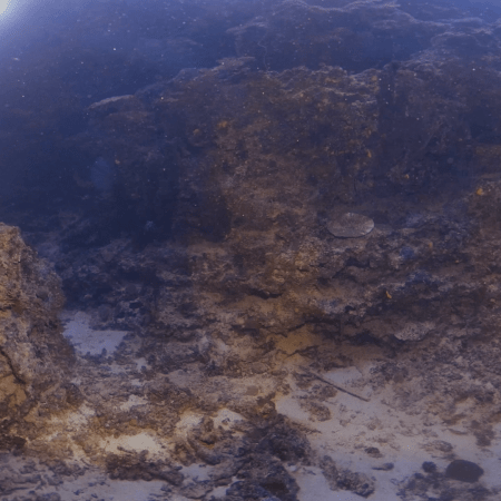 The Cathedral's Crevices