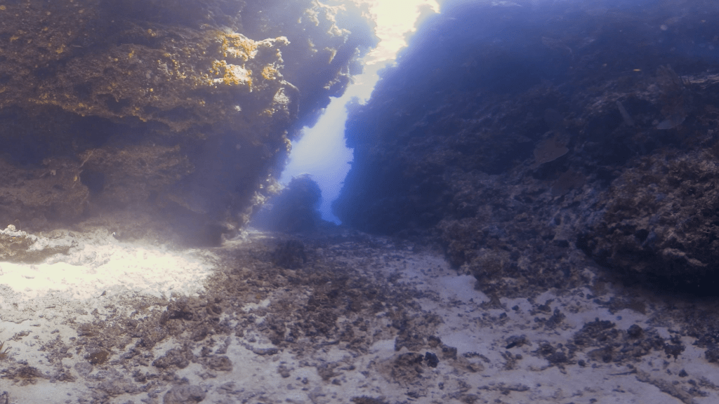 The Cathedral: Underwater Cavern Light