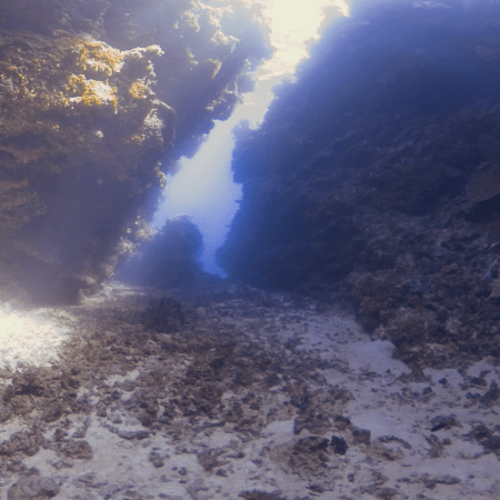 The Cathedral: Underwater Cavern Light