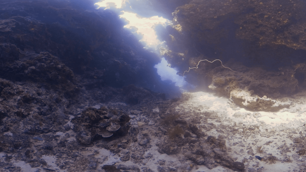 Cathedral's Light: Underwater Grotto