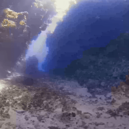 The Cathedral's Crevices